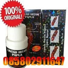 Jual Minyak Lintah Papua Asli Di Palembang 085802911647 COD