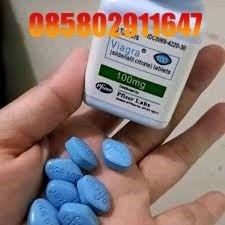 Agen Jual Obat Kuat Viagra Asli Di Pasuruan 085802911647 Alamat Obat Viagra Usa cod