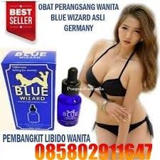Jual Blue Wizard Asli Di Gunung Sitoli 085802911647 alamat Obat Perangsang Wanita COD