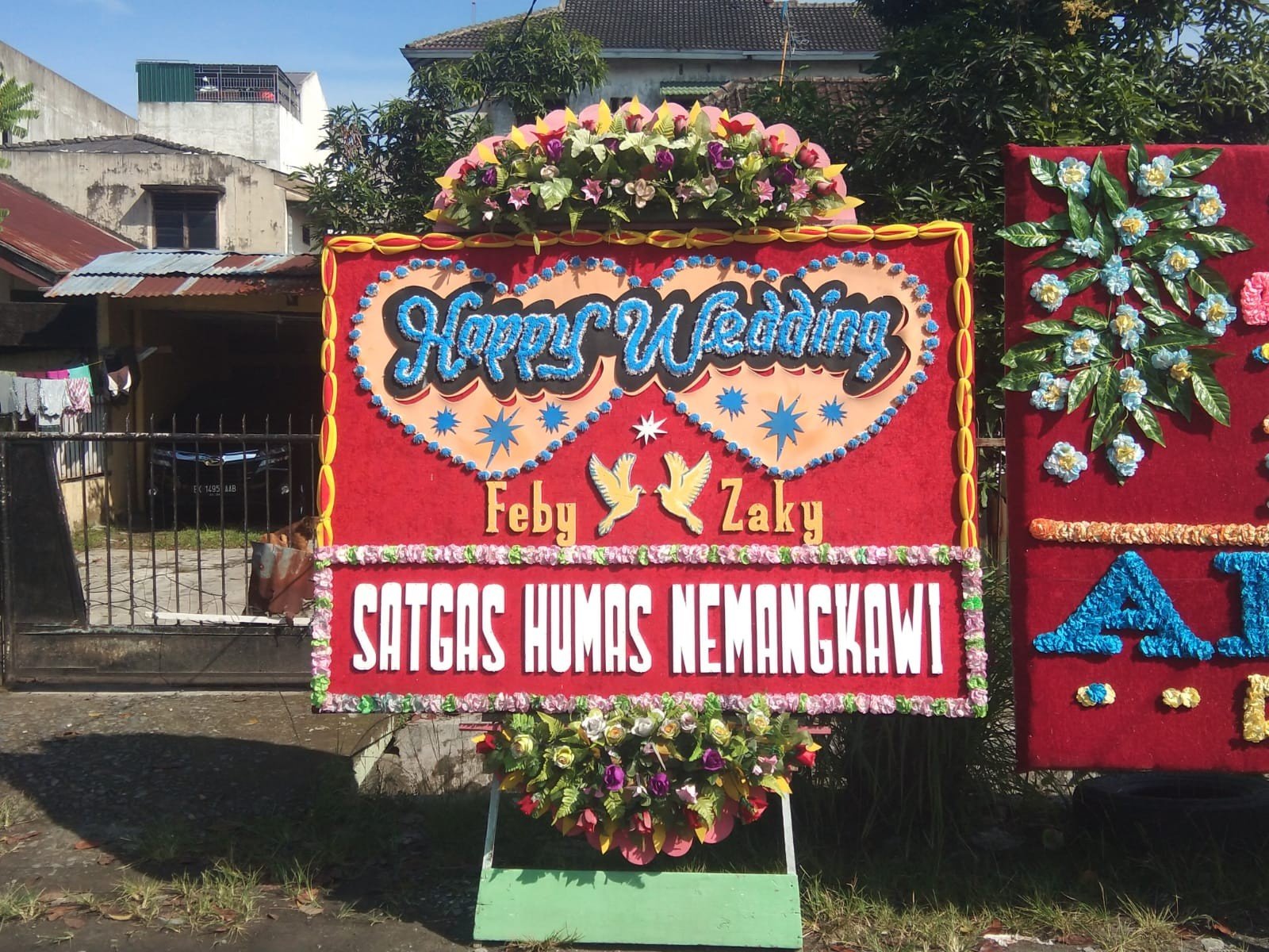 Bunga Papan Aceh: Simbol Keindahan dan Makna