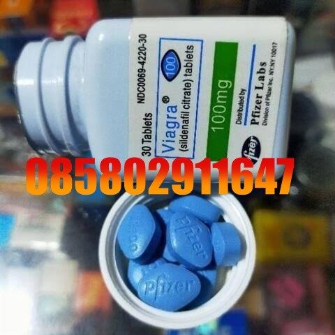 Jual Viagra Asli Di Lampung 085802911647 Alamat Obat Viagra Usa cod